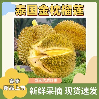 【新鲜金枕头】泰国金枕榴莲正宗进口饱满应季水果巴掌整个包邮