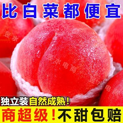 【抄底价】2026新鲜水蜜桃现摘甜毛脆桃子孕妇时令当季水果整箱