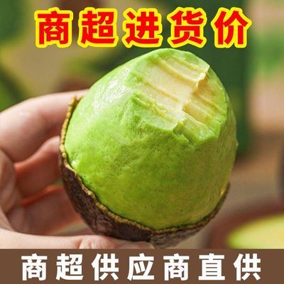 【8个批发价】正宗哈斯进口牛油果墨西哥秘鲁云南新鲜辅食代餐