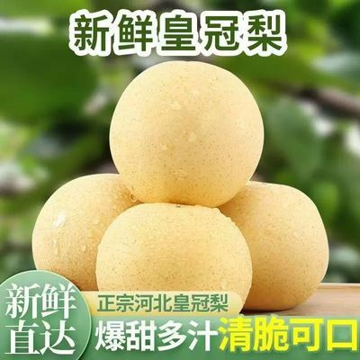 河北皇冠梨正宗包邮梨子新鲜一整箱应季水果薄皮脆甜雪梨鸭梨酥梨