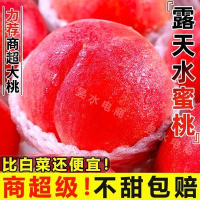 正宗头茬新鲜现摘水蜜桃孕妇脆甜桃子应季当季水果毛桃一整箱多汁