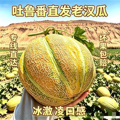 【吐鲁番直发】一藤一瓜金纹老汉瓜.软糯多汁.没牙也能吃整箱包邮