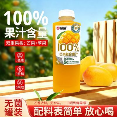 盛贞元 100% 芒果复合果汁饮料整箱批发爆款夏天饮品