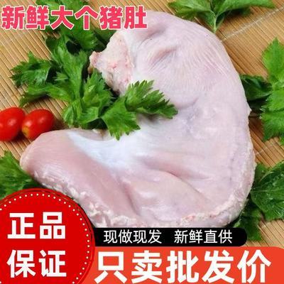 新鲜大号特大特厚猪肚冷冻肚子干净整只大肚农家散养生猪批发整箱优惠商品图片