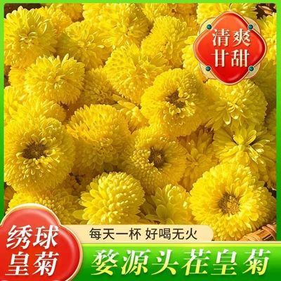 婺源皇菊徽州大菊花茶黄菊花绣球菊正宗乒乓球贡菊一朵一杯特级花优惠商品图片
