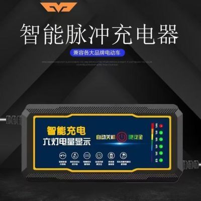 自动断电电瓶车电动三轮车充电器48V60V72V20AH通用超威铅酸电池优惠商品图片