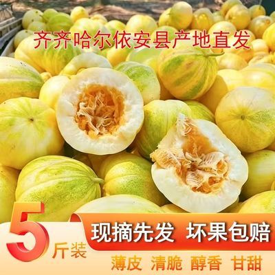 东北大地白糖齐齐哈尔香瓜依安县甜瓜新鲜水果现摘现发整箱包邮