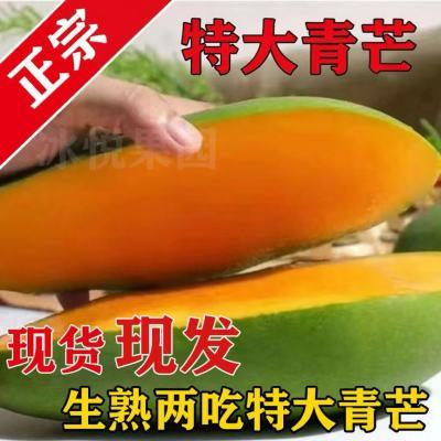 真正的大青芒!凯特芒!青皮大芒果!无丝芒果当季新鲜水果酸野芒果优惠商品图片