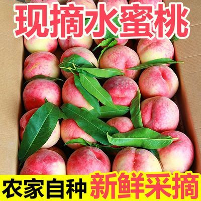 泡沫箱带箱3斤水蜜桃毛桃 5.3元 - 美泡泡
