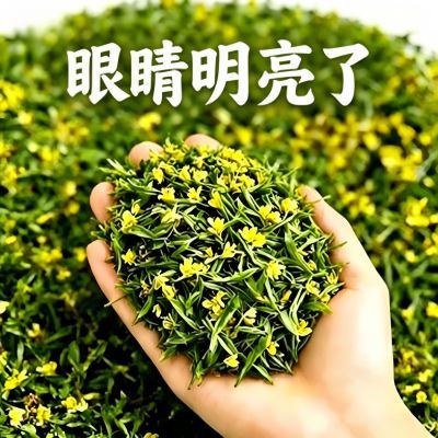 【眼睛模糊有飞蚊】草本调理明目茶独立茶包决明子护眼养生茶