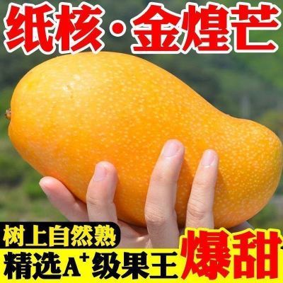 【爆甜】金煌芒果薄皮爆甜大青芒玉芒水仙芒新鲜应季水果批发