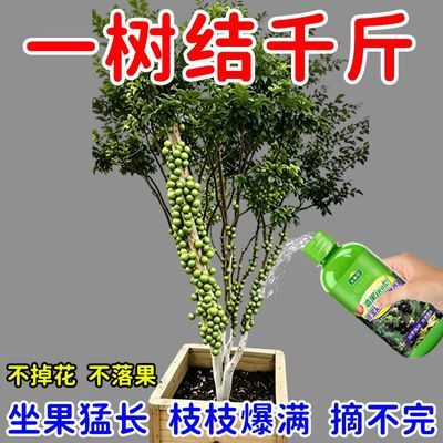 坐果王】嘉宝果专用肥催花坐果灵防掉果膨果增甜果树嘉宝果营养液