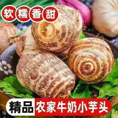 山东现挖牛奶芋头芋艿白芽芋新鲜蔬菜农家芋仔香芋批发整箱批发价