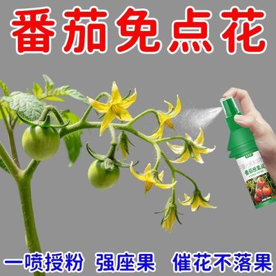 番茄授粉座果灵西红柿点花喷花防落花提高座果保花保果中量元素肥