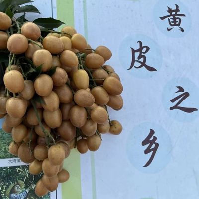 新鲜鸡心黄皮果广东农家老树现摘酸甜多汁当季时令孕妇水果包邮