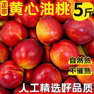现摘头茬黄心油桃应季新鲜水果脆甜当季孕妇整箱桃子黄肉脆桃批发