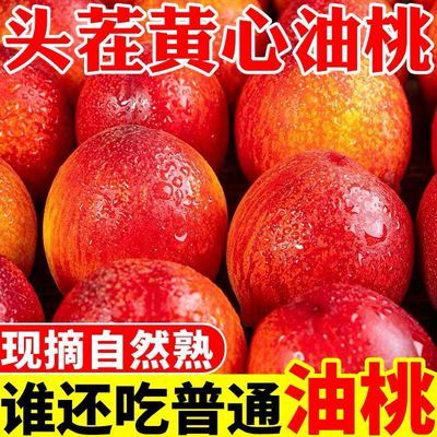 现摘头茬黄心油桃应季新鲜水果脆甜当季孕妇整箱桃子黄肉脆桃批发