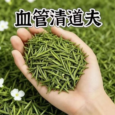 【活血通脉】颈动脉/斑块堵/头晕头疼/清理皿管/腕带/其他/健康98