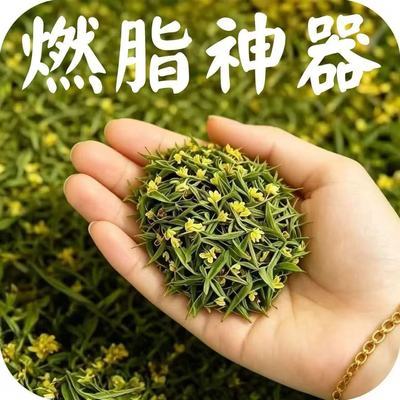 瘦身茶/美臀蝴蝶臀肚子/十七顽固赘肉草本天然手工茶