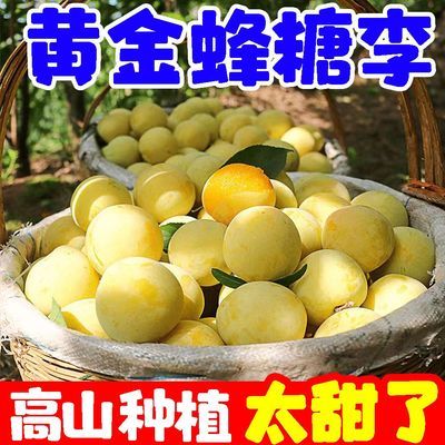 正宗稀有黄金蜂糖李子当季新鲜空心脱骨李水果四川甜脆李子贵州