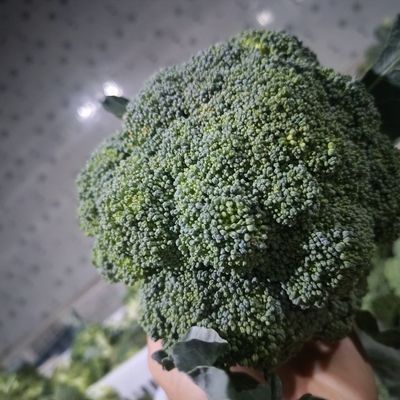 盐城农家露天新鲜现采直发西兰花蓝花新鲜沙拉蔬菜青花菜新鲜蔬菜优惠商品图片