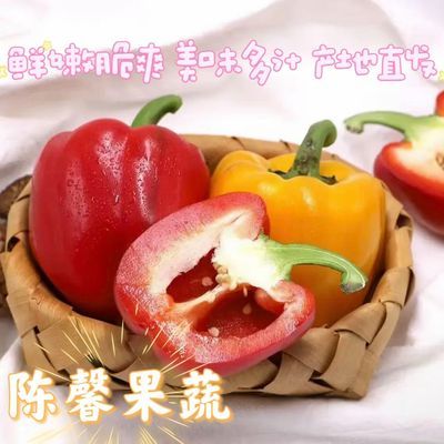 《陈馨彩椒》生吃的水果彩椒清甜爆汁不辣嘴脆甜老人小孩放心吃