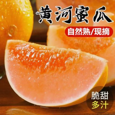 陕西黄河蜜瓜脆黄皮甜瓜网红当季香瓜非新疆哈密瓜