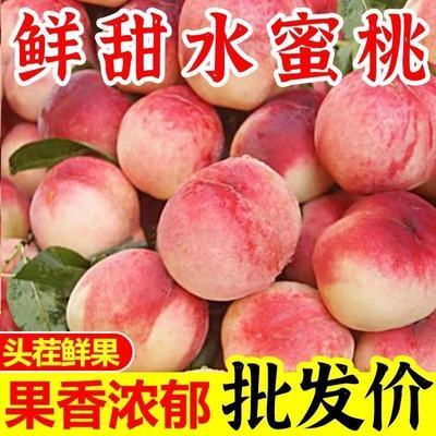 【2026头茬】水蜜桃毛桃大桃子孕妇水果新鲜现摘孕妇当季水果批发
