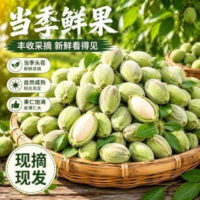 2026年当季新货现摘现发新鲜青皮即食巴达木新鲜扁桃3斤/5斤包邮