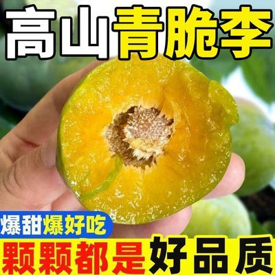 【彩箱】正宗重庆汶川青脆李新鲜四川清脆李青翠李子新鲜当季水果
