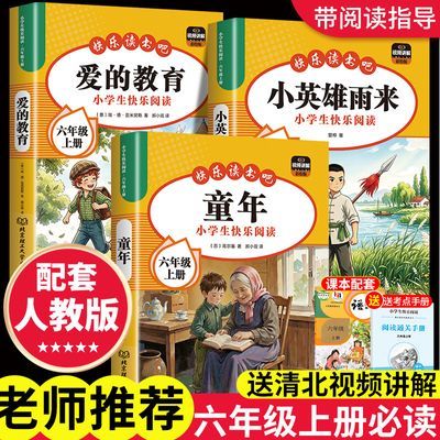 童年六年级上册必读课外书快乐读书吧爱的教育小英雄雨来配人教版