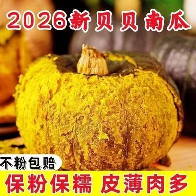 正宗贝贝南瓜板栗南瓜小南瓜带箱新鲜直发辅食老南瓜粉糯宝宝圆形优惠商品图片