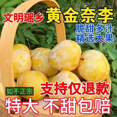 正宗湖南黄金奈李新鲜套袋果现摘脱骨应季孕妇李子蜂糖李大果便宜【7月13日发完】