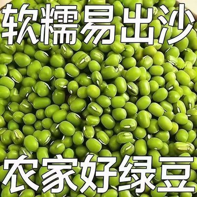 新绿豆小绿豆笨绿豆熬绿豆新鲜农家绿小豆绿茶豆汤可发豆芽易煮豆