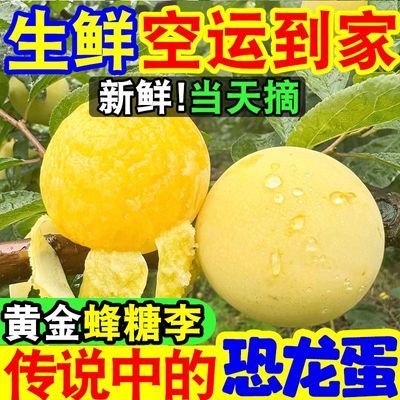 爆甜】正宗黄金蜂糖李冰糖李蜂蜜脆甜李子当季新鲜水果脱骨李批发