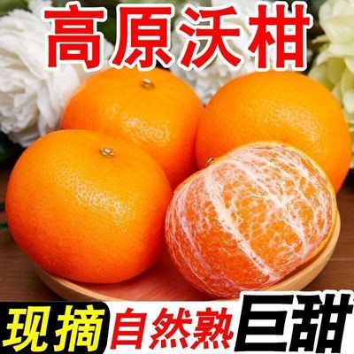 【5斤】新鲜沃柑当季柑橘水果云南薄皮橘子超甜桔子高原沃柑整箱