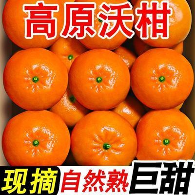 【5斤】新鲜沃柑当季柑橘水果云南薄皮橘子超甜桔子高原沃柑整箱
