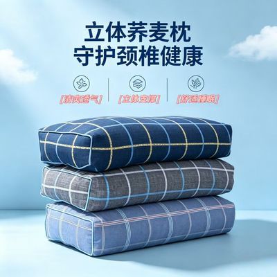 新款立体荞麦枕方形枕头单人家用宿舍成人高枕荞麦壳荞麦皮护颈枕