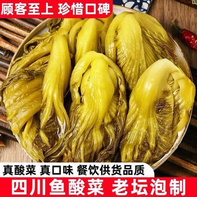四川鱼酸菜泡菜腌制传统发酵酸菜鱼开胃青菜酸菜粉丝酸菜汤下饭菜