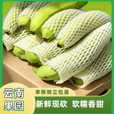 3斤云南正宗高山香蕉单根包装甜糯当季自然新鲜水果青皮香蕉现摘