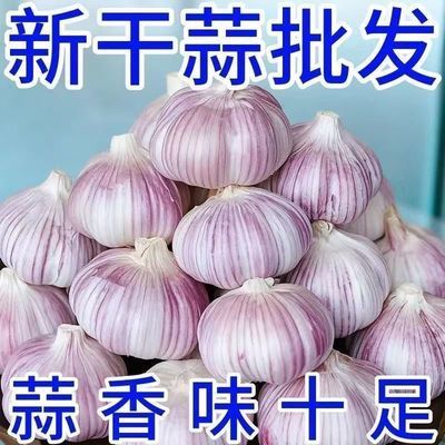 【新干蒜】山东紫皮大蒜头新干蒜大蒜大蒜头批发整箱新鲜大蒜头