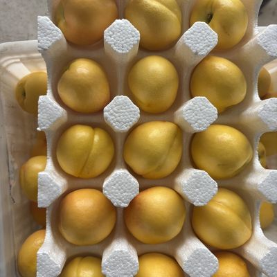 山东蒙阴黄油桃应季水果水蜜桃脆甜黄桃无毛桃现摘纯甜黄油桃