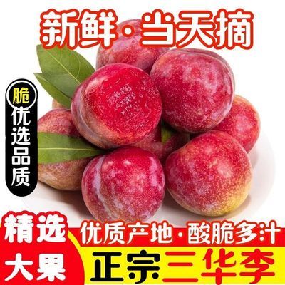 【彩箱】广西正宗三华李大果现摘当季酸甜脆孕妇新鲜水果红心李子