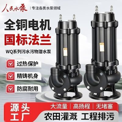 人民国标正品大功率污水泵家用排污泵单相220V水泵380v三相大功率优惠商品图片