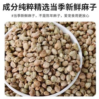 甘肃纸壳麻子中颗粒精选薄皮纸皮麻籽鹦鹉训练奖励粮牡丹小太阳用