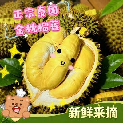 【现货】泰国应季带壳大果整个进口榴莲批发价金枕榴莲新鲜大果
