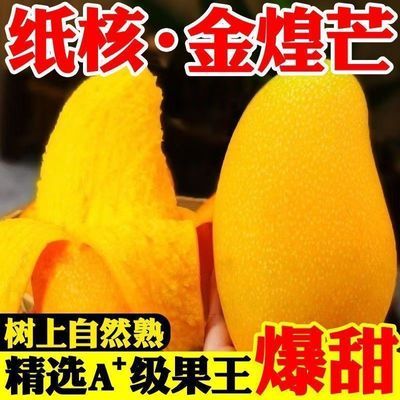 【爆甜】金煌芒果薄皮爆甜大青芒玉芒水仙芒新鲜应季水果批发
