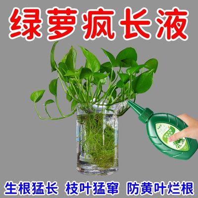 绿萝专用肥营养液快速生长藤蔓发芽促绿叶水培绿萝盆栽通用氮肥