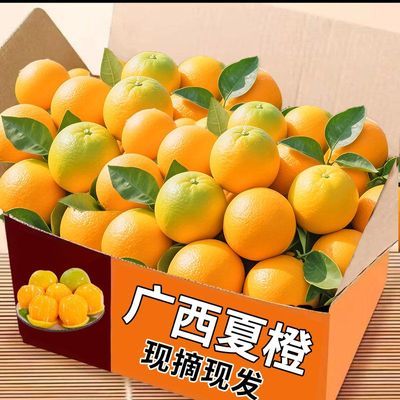 广西新鲜夏橙正宗酸甜榨汁季现整箱新鲜橙子多汁水果应季