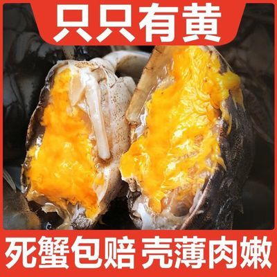【活蟹】精品河蟹鲜活六月大闸蟹螃蟹童子蟹香辣蟹包邮鲜活6-24只